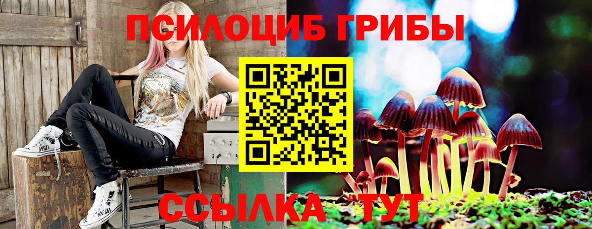 Псилоцибиновые грибы мицелий Спасск-Дальний
